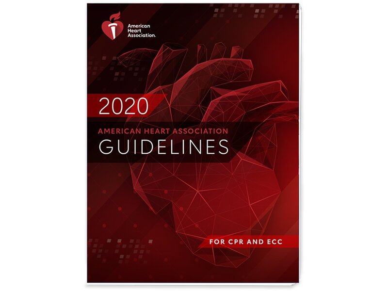 American Heart Association Cpr Algorithm 2010 AHA Guideline