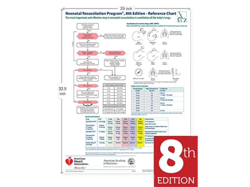 Printable Nrp Algorithm Printable Nrp Algorithm