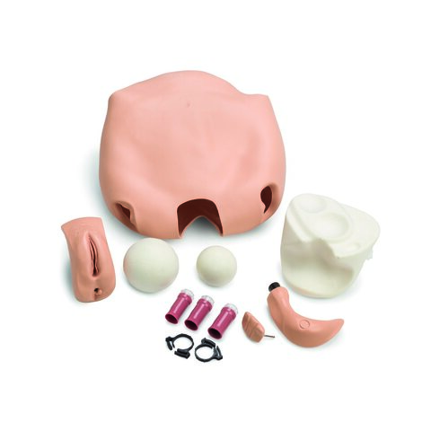 UPGRD; FUNDUS NSG ANNE STD